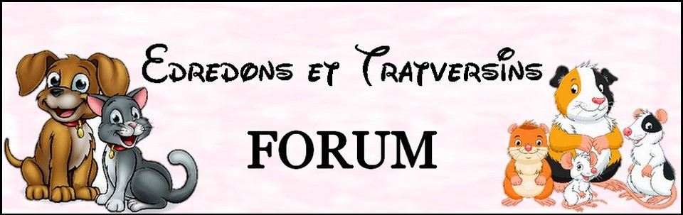 Edredons et Tratversins le forum