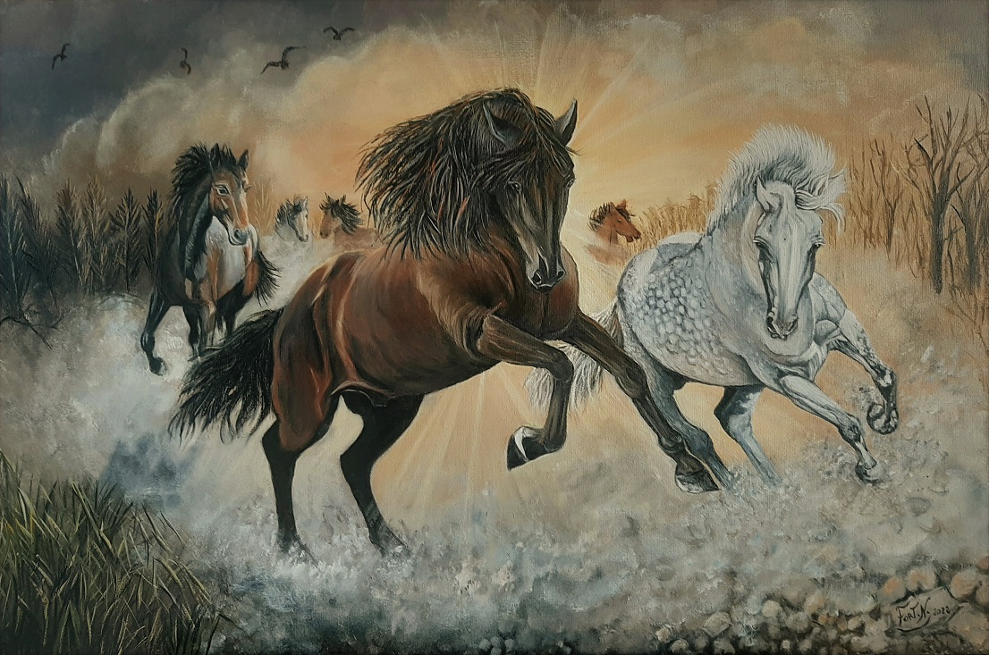 chevaux sauvages 