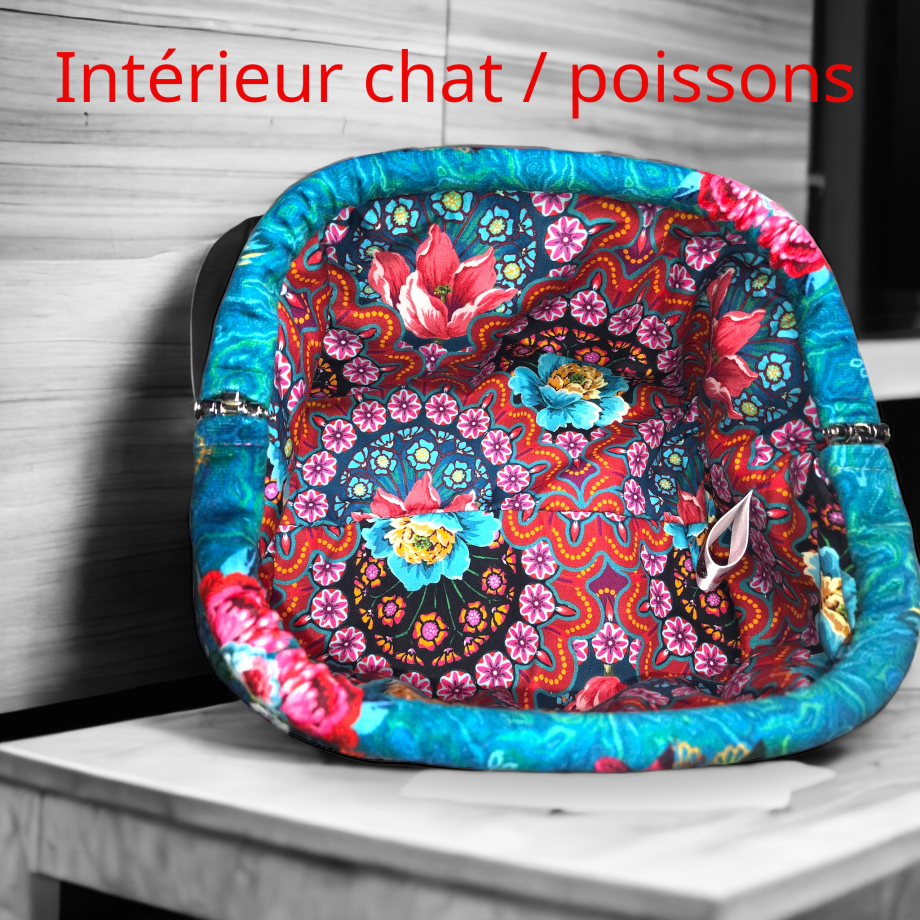 int chat poissons 