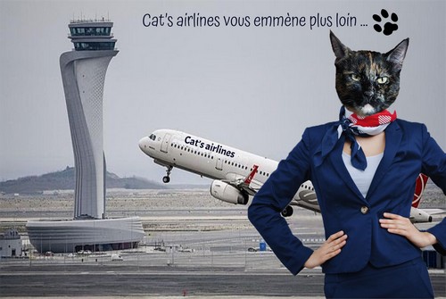 https://static.blog4ever.com/2019/07/853208/Dessin-Humanimaux-cat--s-airlines-Flora-dessine.jpg