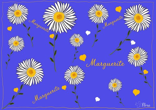 https://static.blog4ever.com/2019/07/853208/Dessin-MargueritesAmicales-Flora-dessine-OK.jpg