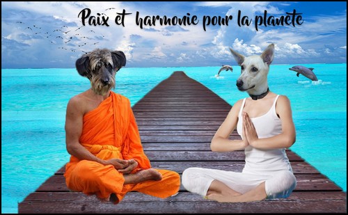 https://static.blog4ever.com/2019/07/853208/Humanimaux-Paix-et-harmonie-pour-la-plan--te-Flora-dessine.jpg