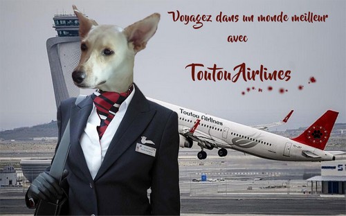 https://static.blog4ever.com/2019/07/853208/Voyagez-sur-Toutou-Airlines--Flora-dessine.jpg