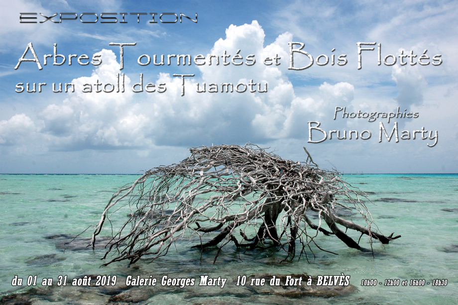 PHOTO 02 - Affiche Expo Bois Flottés.jpg