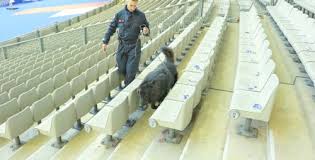 securite-agent-stade