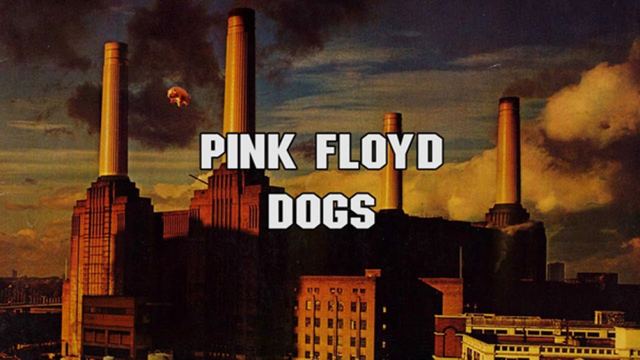 pink floyd.jpg