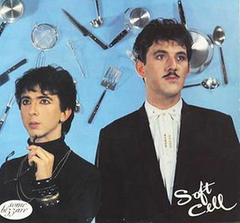 soft cell Bedsitter.png