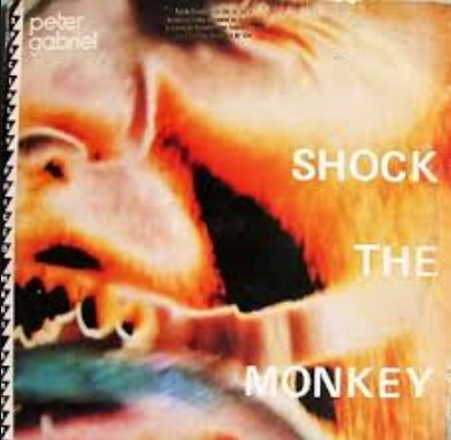 peter gabriel shock the monkey.png