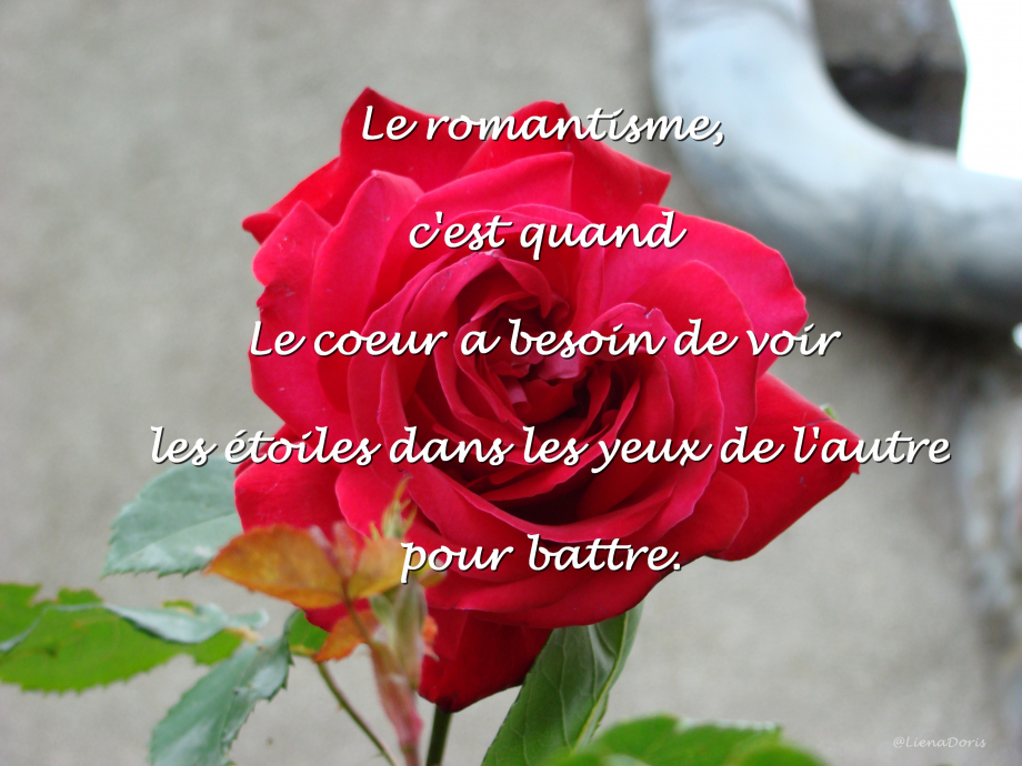 4 - Le romantisme LienaDoris Les7Sens LoveD.jpg
