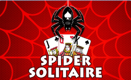 Pochette du jeu Spider Solitaire
