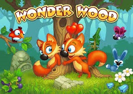 Wonder Wood.jpg