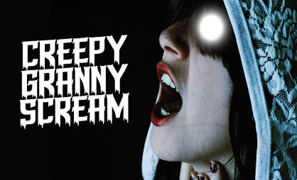 Pochette du jeu « Creepy Granny Scream »