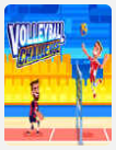 L'affiche du jeu « Volleyball Challenge »