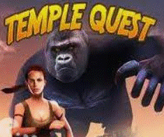 Pochette du jeu Temple Quest