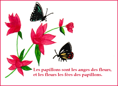 Papillons anges