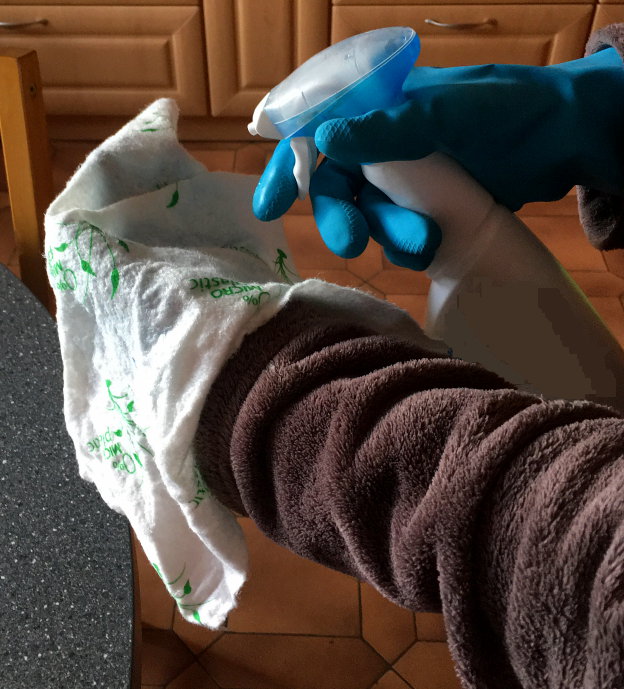 Spray bottle, gloves and cloth