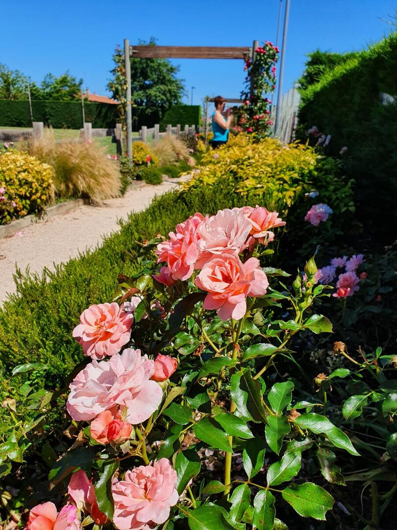 Village jardin de Chamboeuf