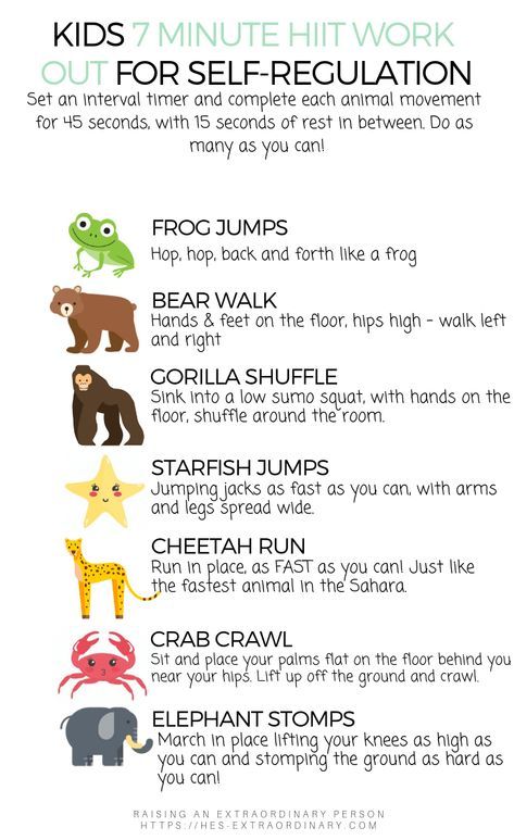 animal workout