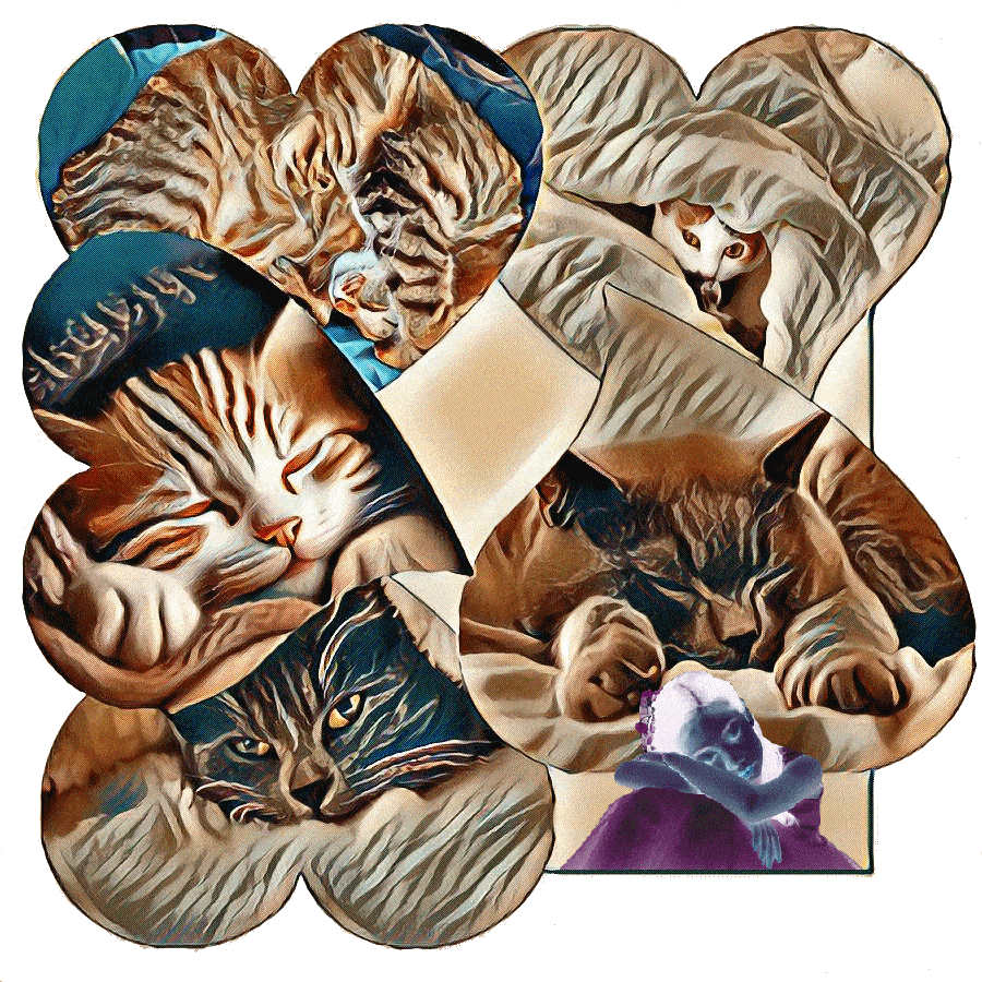 IMG-FOR-ARTICLE-COUETTE--2-.gif