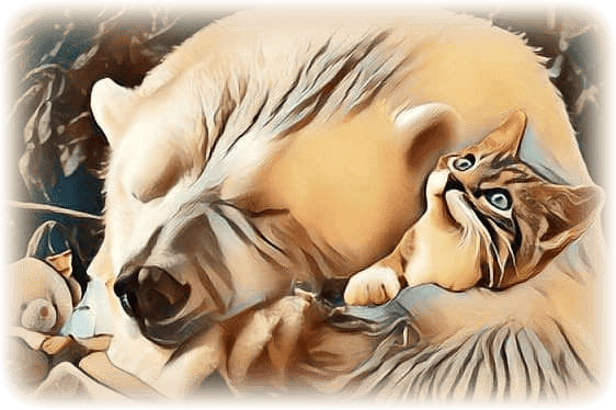 imageedit_129_2334181802--1-.png