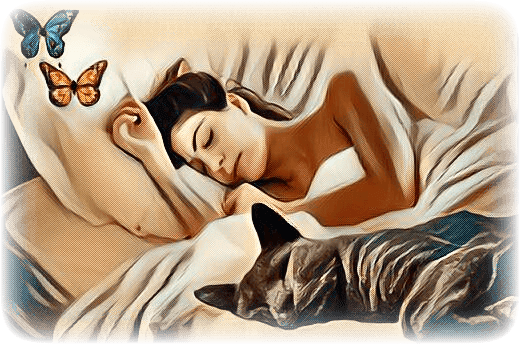 imageedit_131_7188806435--1-.png