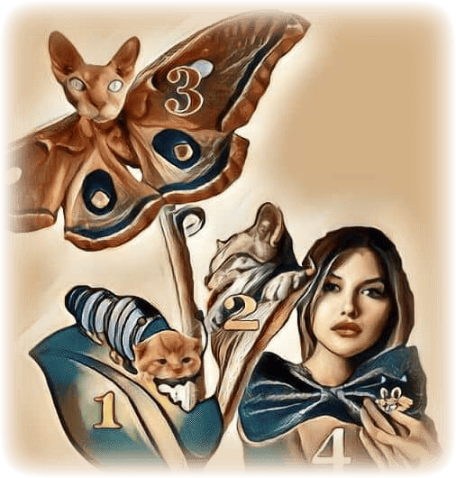 imageedit_162_3908479665--1-.png