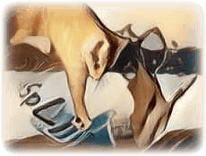 imageedit_190_9259101239--1-.png