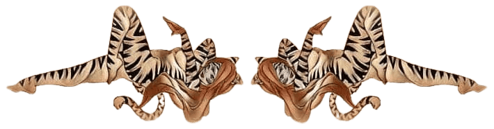 imageedit_1_9677766503__1_-removebg-preview--1-.png