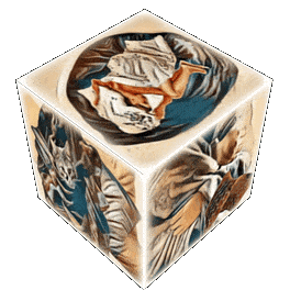 imageedit_232_3072086596--1-.gif