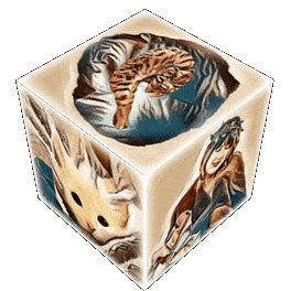 imageedit_234_4710243589--1-.gif