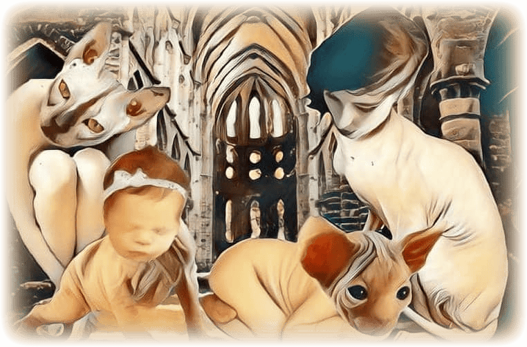 imageedit_242_2166733691--1-.png