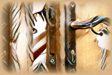 imageedit_2_4440351976--1-.gif