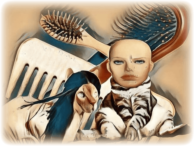 imageedit_312_7149923034--1-.png