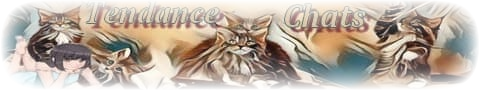 imageedit_37_4988633098.png