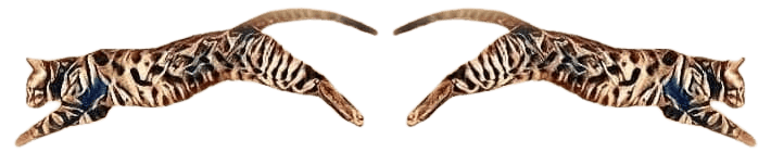 imageedit_3_8570735754__1_-removebg-preview--1-.png