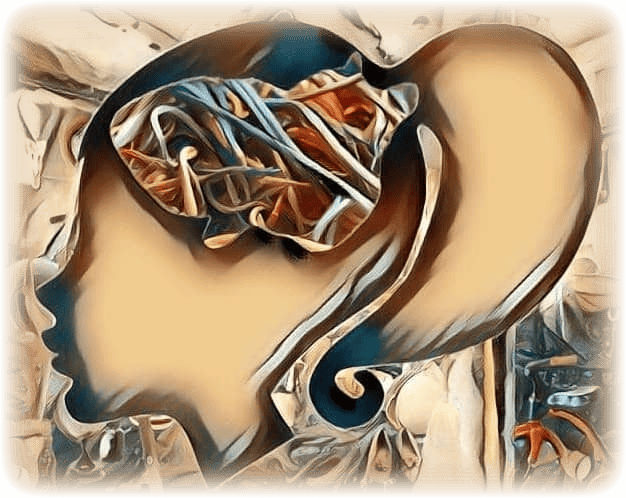 imageedit_508_5722402604--1-.png