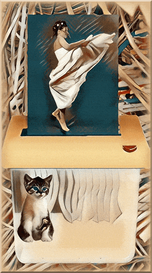 imageedit_571_8911357709--1-.gif