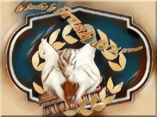 imageedit_577_2733459015--1-.gif