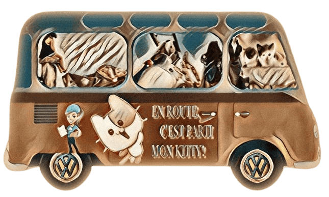imageedit_64_7080935057--1---1-.png