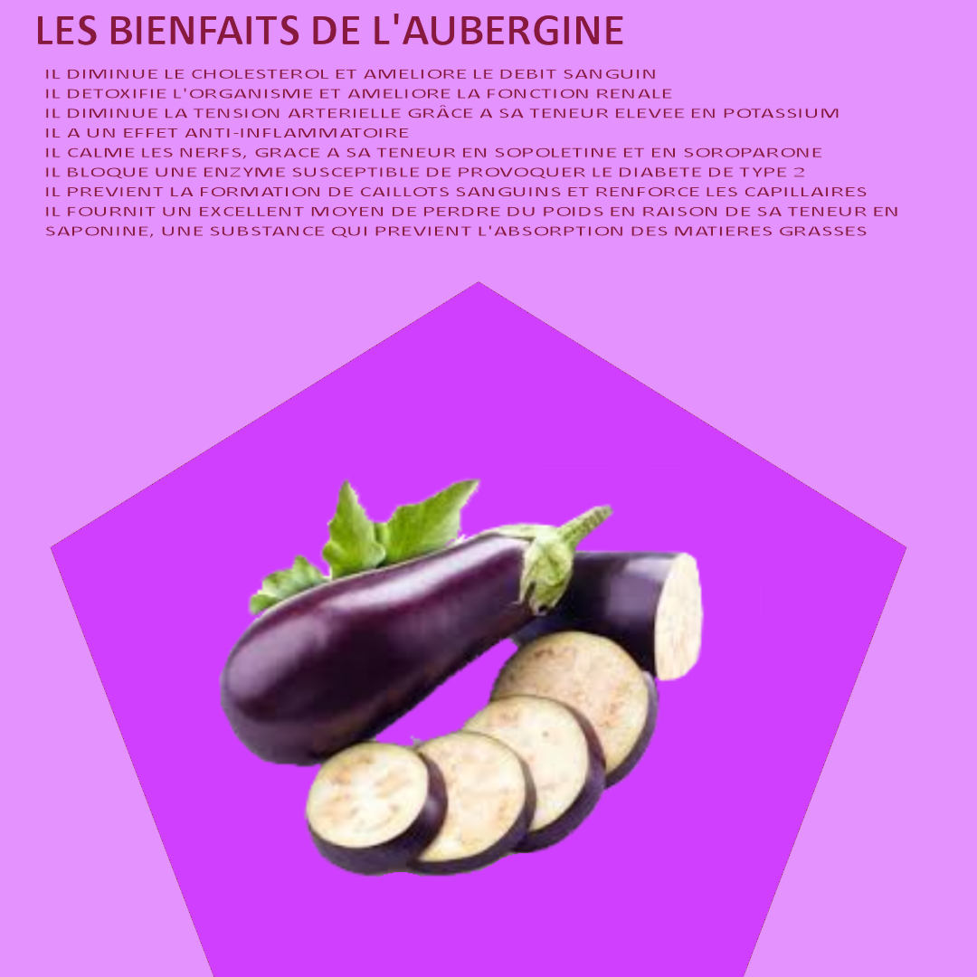 LES BIENFAITS DE L AUBERGINE