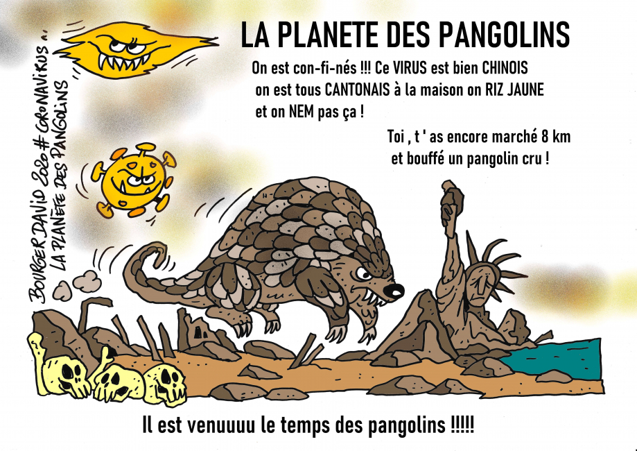 La planète des pangolins - Copie (2)