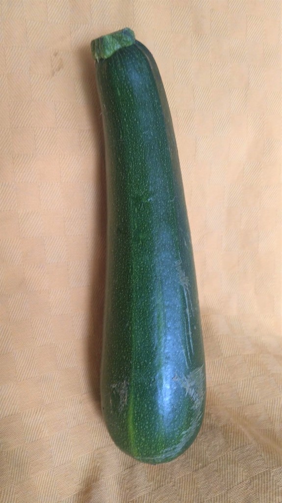 Courgette