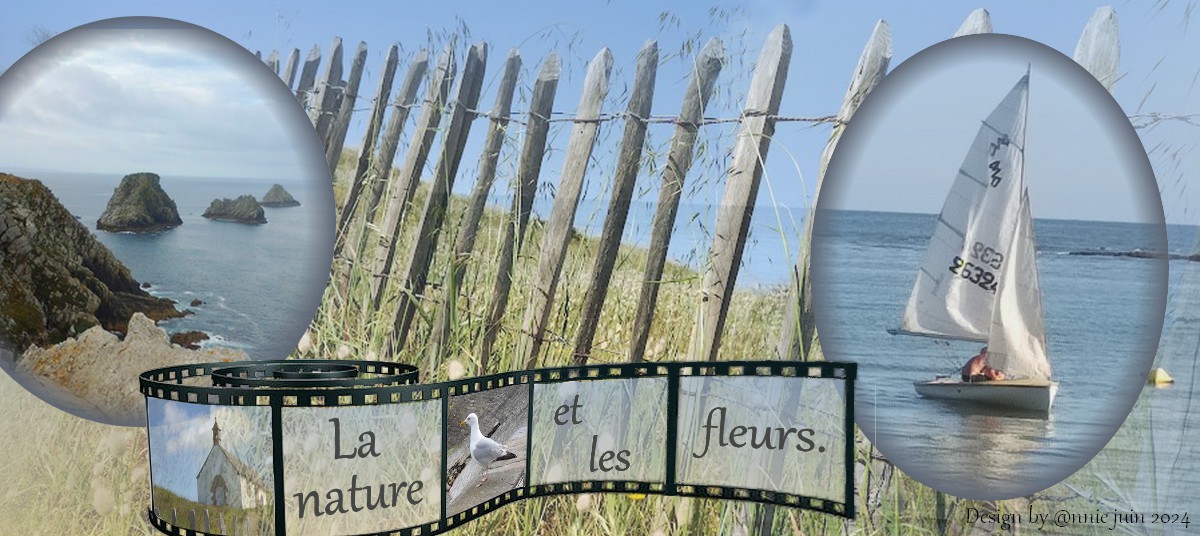 D'@NNIE  : LA NATURE ET LES FLEURS