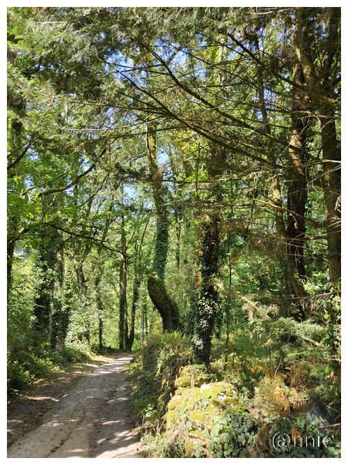 CHEMIN DE PITIE ST LAURENT 28 07 2024