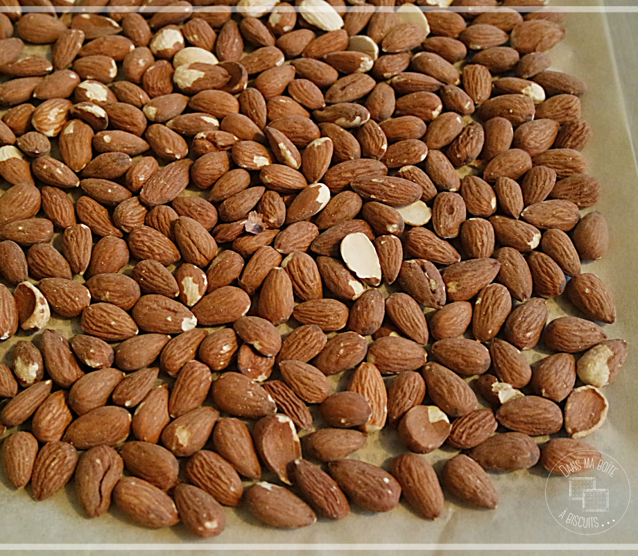 37_17_Amandes_éffilées