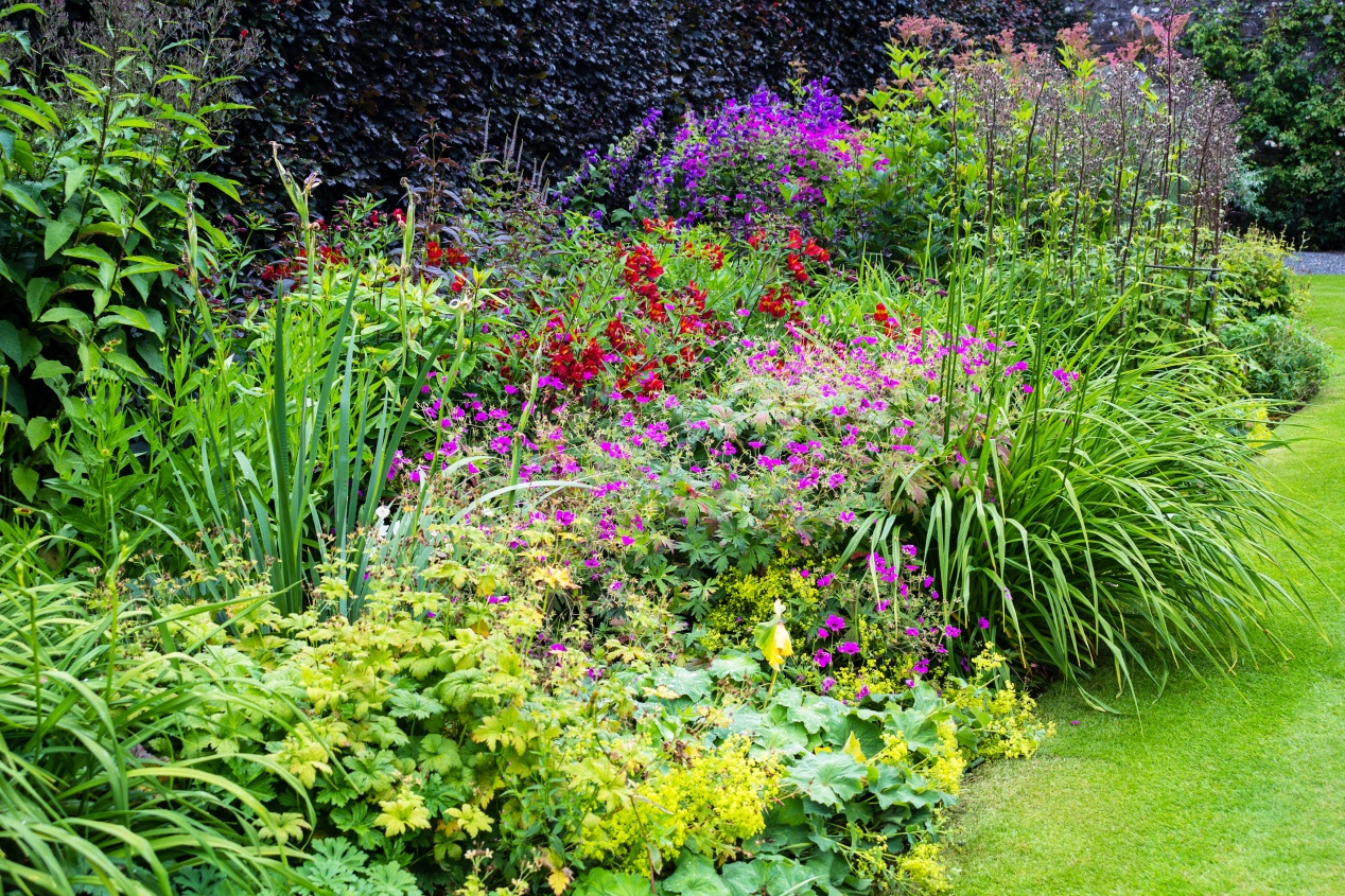1 jardin à l anglaise