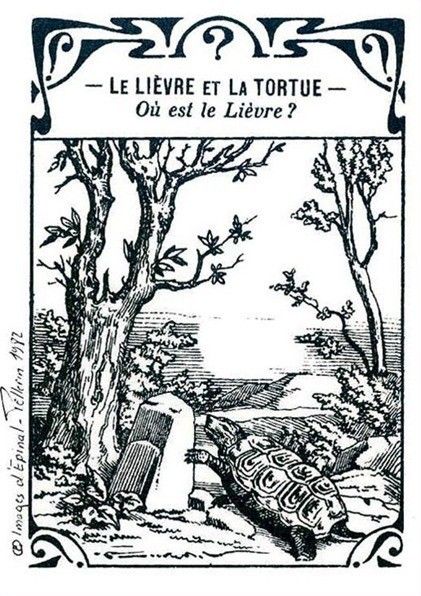 lièvre épinal
