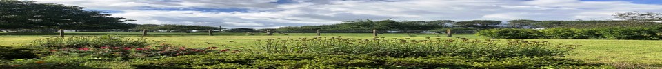 Gite du Petit Pressoir entre mer et forêt