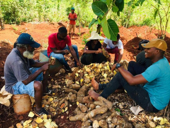 Formation agronomique à Beaumont