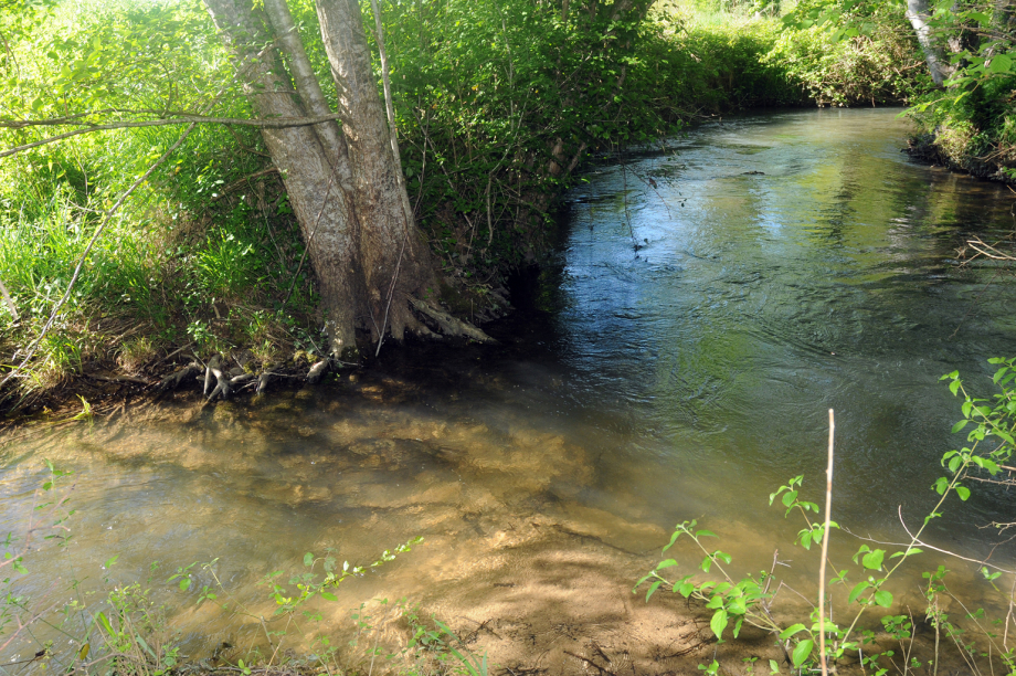 20 - Confluent la Nauze - Le Raunel